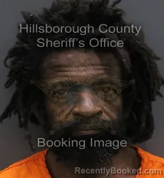 Mugshot of JERRY NIXON booked in Hillsborough County, Florida on June 6, 2026