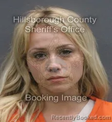 Mugshot of ALLISON NICKESHA BROWN booked in Hillsborough County, Florida on June 6, 2026