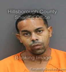 Mugshot of RANDY DESPAIGNE SILOT booked in Hillsborough County, Florida on June 6, 2026