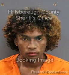 Mugshot of MORDECAI ERNESTO LEFLEUR booked in Hillsborough County, Florida on June 6, 2026