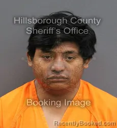 Mugshot of RICARDO ANGEL HERNANDEZ RUIZ booked in Hillsborough County, Florida on June 6, 2026