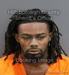 Mugshot of ANDRE SCORPIO JR COSTON booked in Hillsborough County, Florida on June 6, 2026