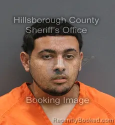 Mugshot of LUIS JOSE TORO DELGADO booked in Hillsborough County, Florida on June 6, 2026