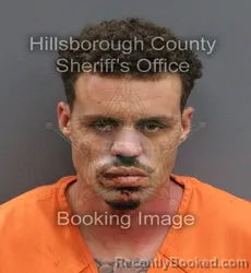 Mugshot of MARCUS DEMETRI WILLIAMS booked in Hillsborough County, Florida on June 6, 2026
