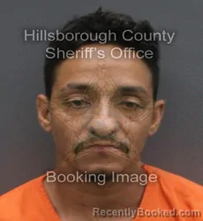 Mugshot of ERICKSON DOUGLAS MARTINS DE AQUINO booked in Hillsborough County, Florida on June 6, 2026