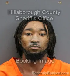 Mugshot of ANTHONY D'ANDRE JR SMITH booked in Hillsborough County, Florida on June 6, 2026