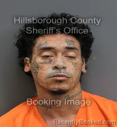 Mugshot of IZZAHDEEN DAVIS booked in Hillsborough County, Florida on June 6, 2026