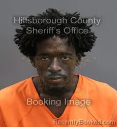 Mugshot of MOISE GERMAIN booked in Hillsborough County, Florida on June 6, 2026