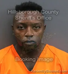 Mugshot of RAYMOND CURTIS ALSTON booked in Hillsborough County, Florida on June 6, 2026