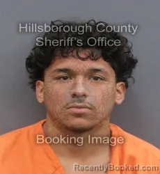 Mugshot of DANGELO ANTONIO LERTORA booked in Hillsborough County, Florida on June 6, 2026