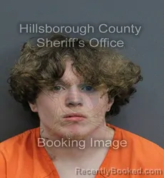 Mugshot of NATHANIAL ALEXZANDER JACKSON booked in Hillsborough County, Florida on June 6, 2026