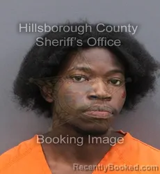 Mugshot of MILES LEON CRAIG booked in Hillsborough County, Florida on June 6, 2026