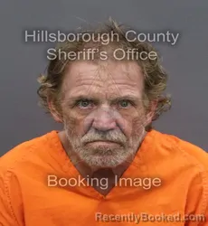 Mugshot of JERRY CLIFTON JR WILSON booked in Hillsborough County, Florida on June 6, 2026