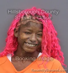 Mugshot of NYKIEA TAKIRRA JONES booked in Hillsborough County, Florida on June 6, 2026
