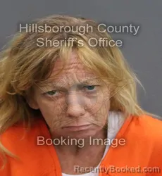 Mugshot of ERICKA YVONNE PURVIS booked in Hillsborough County, Florida on June 6, 2026