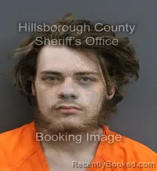Mugshot of TYLER JOSEPH LEINING booked in Hillsborough County, Florida on June 6, 2026