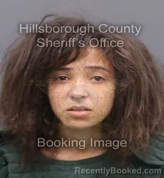 Mugshot of MYKAYLA RENEE HERBE HARDY booked in Hillsborough County, Florida on June 6, 2026