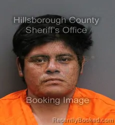 Mugshot of MARVIN PERFECTO RAMOS RAMOS booked in Hillsborough County, Florida on June 6, 2026