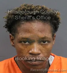 Mugshot of FELICIA MICHELLE DUNSON booked in Hillsborough County, Florida on June 6, 2026