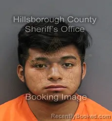Mugshot of JOSE MANUEL PATISHTAN PATISHTAN booked in Hillsborough County, Florida on June 6, 2026
