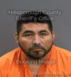 Mugshot of MELQUIADES ALARCON CANTORAN booked in Hillsborough County, Florida on June 6, 2026