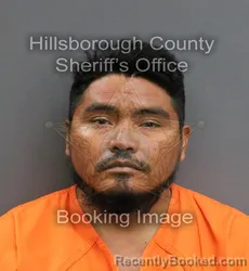 Mugshot of CLEOTILDE ALARCON CANTORAN booked in Hillsborough County, Florida on June 6, 2026