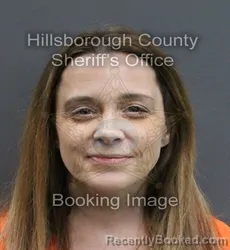 Mugshot of AMANDA CHANTELL FRAZIER booked in Hillsborough County, Florida on June 6, 2026