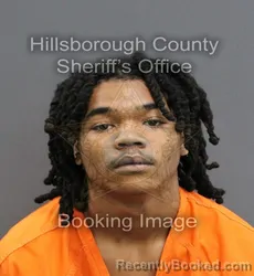 Mugshot of ALEXANDER ZAMERION GIVENS booked in Hillsborough County, Florida on June 6, 2026
