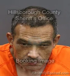 Mugshot of JOSE ANGEL SEDA booked in Hillsborough County, Florida on June 7, 2026