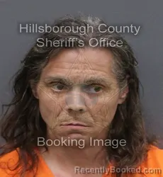 Mugshot of CHRISTOPHER JERRY GREEN booked in Hillsborough County, Florida on June 7, 2026