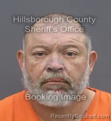 Mugshot of JOSHEA ALEXANDER WOMACK booked in Hillsborough County, Florida on June 7, 2026
