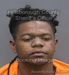 Mugshot of CHRISTOPHER XAVIER ALEXANDER SMITH booked in Hillsborough County, Florida on June 7, 2026