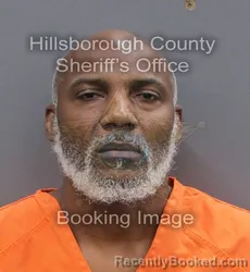Mugshot of VINCENT JR JORDAN booked in Hillsborough County, Florida on June 7, 2026