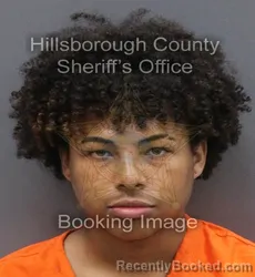Mugshot of ADRIAN ENRIQUE PLANES booked in Hillsborough County, Florida on June 7, 2026