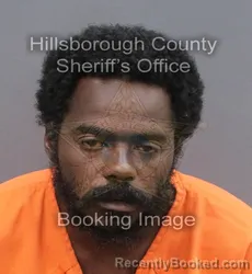 Mugshot of CHRIS EMMANUEL WILFORD booked in Hillsborough County, Florida on June 7, 2026