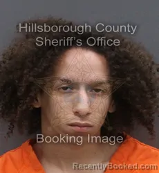 Mugshot of JORDAN GOON booked in Hillsborough County, Florida on June 7, 2026