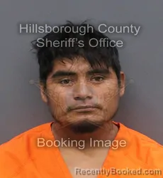 Mugshot of ALFREDO HERNANDEZ booked in Hillsborough County, Florida on June 7, 2026