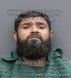 Mugshot of NOE HERNANDEZ booked in Hillsborough County, Florida on June 7, 2026