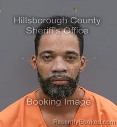 Mugshot of KOJO ADU WILLIAMS booked in Hillsborough County, Florida on June 7, 2026