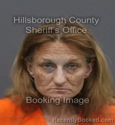 Mugshot of ASHLEY ANN HARROLD booked in Hillsborough County, Florida on June 7, 2026