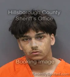 Mugshot of TIWARI ANTHONY MARAJ booked in Hillsborough County, Florida on June 7, 2026