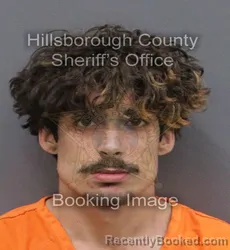 Mugshot of GABRIEL STEPHAN WHITNEY booked in Hillsborough County, Florida on June 7, 2026