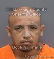 Mugshot of ISMAEL ORTEGA JR LUGO booked in Hillsborough County, Florida on June 7, 2026