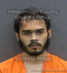 Mugshot of LUIS AVILES booked in Hillsborough County, Florida on June 7, 2026