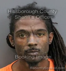 Mugshot of JOHNNY JOE LAWRENCE EVERETT booked in Hillsborough County, Florida on June 7, 2026