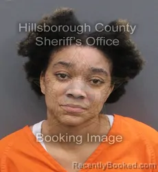 Mugshot of KENDALL LOUISE BRANTLEY booked in Hillsborough County, Florida on June 7, 2026