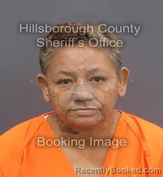 Mugshot of SIMONE CRYSTAL RAPHAEL booked in Hillsborough County, Florida on June 7, 2026