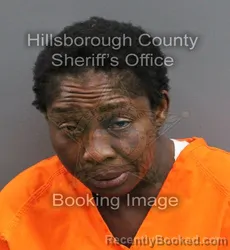 Mugshot of TANYA LASHAWN SIMMONS booked in Hillsborough County, Florida on June 7, 2026