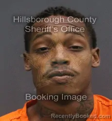 Mugshot of CLEVELAND FULTON booked in Hillsborough County, Florida on June 7, 2026