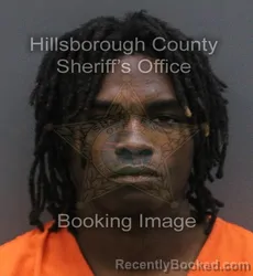 Mugshot of KALON RYAN DIRENY booked in Hillsborough County, Florida on June 7, 2026